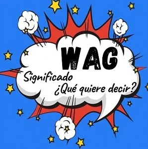 que significa WAG